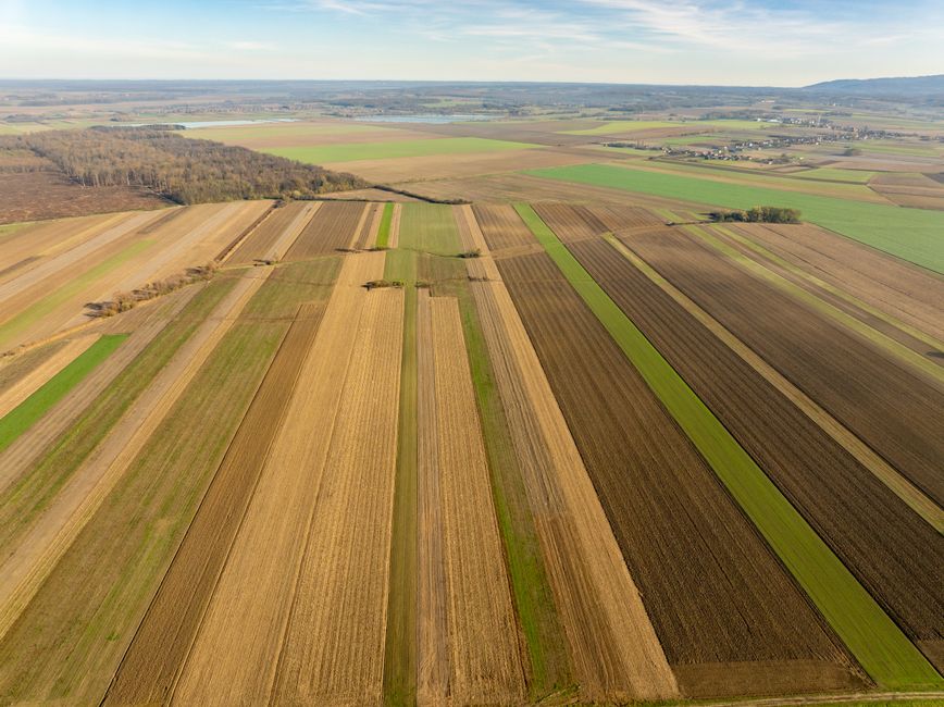 Agricultural Fields