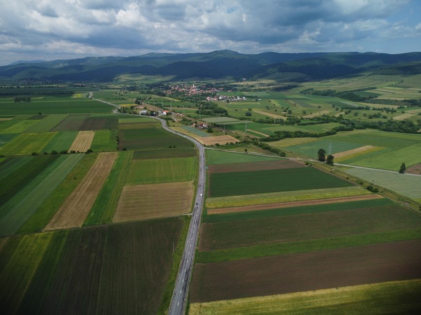 Agriculture Fields