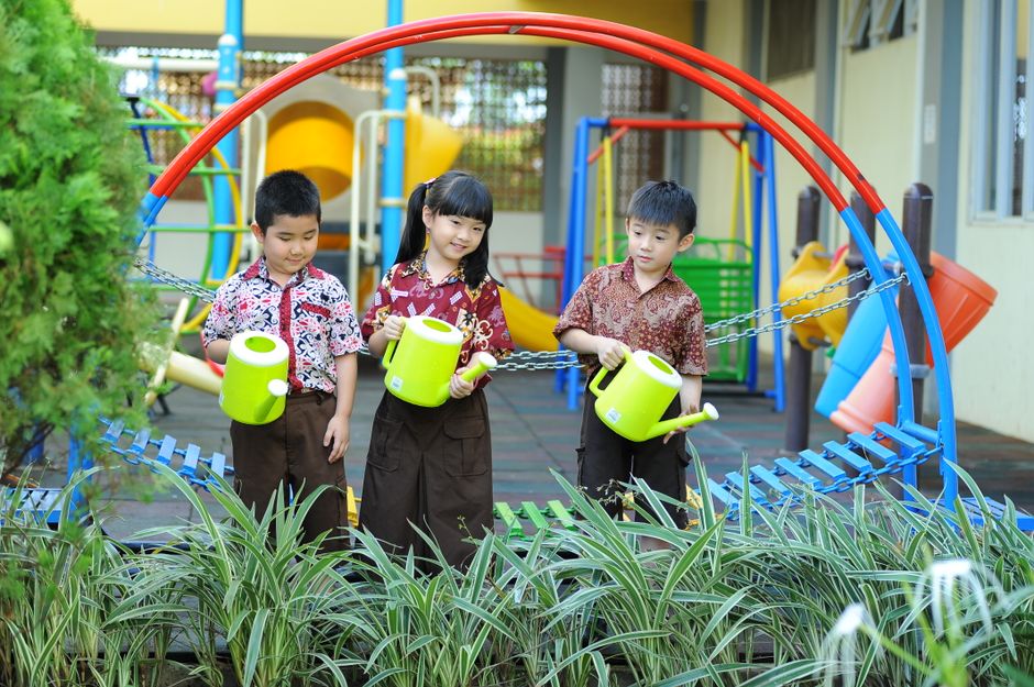 Plant Nursery Environment